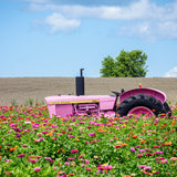 Blossom Deere