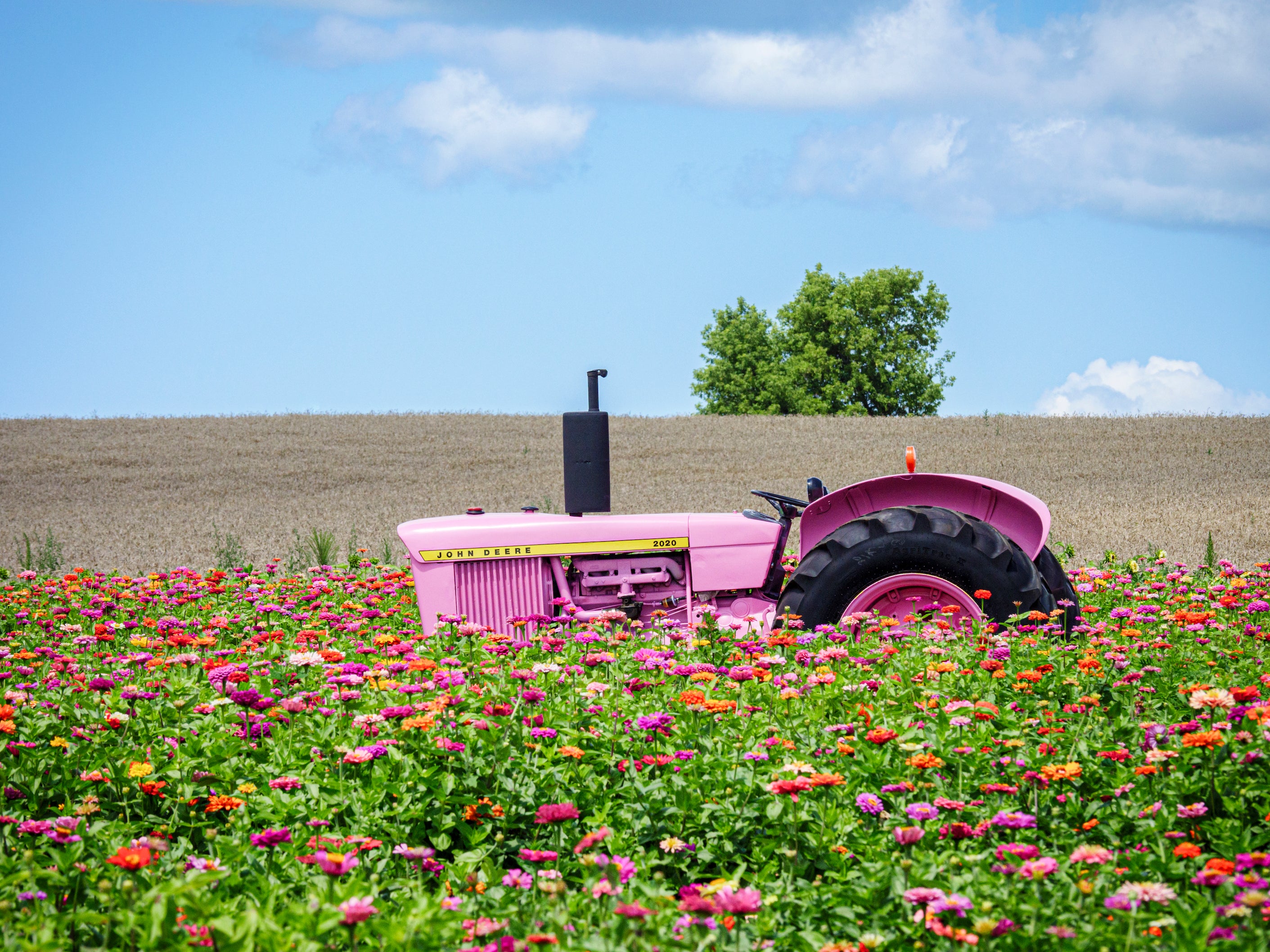 Blossom Deere